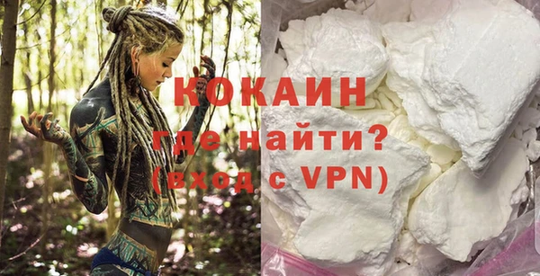 прущие грибы Абаза