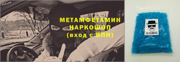 прущие грибы Абаза