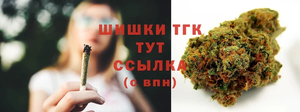 шишки Абинск