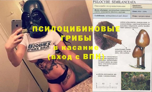 наркотики Алексин