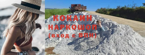 прущие грибы Абаза
